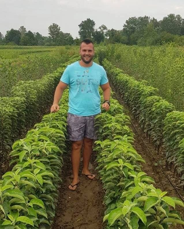 Rasadnik Veljović u Velikoj Drenovi