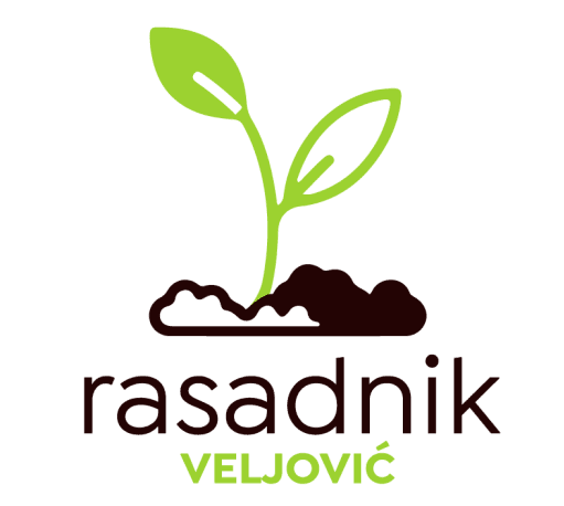 Fotografija: https://www sadniceveljovic rs/wp content/uploads/2023/03/cropped logo png